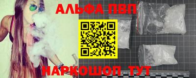 ECSTASY Обь