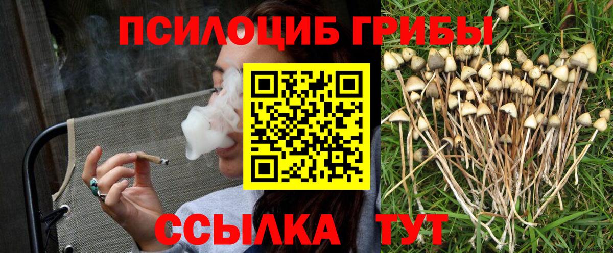 Галлюциногенные грибы прущие грибы Кизляр
