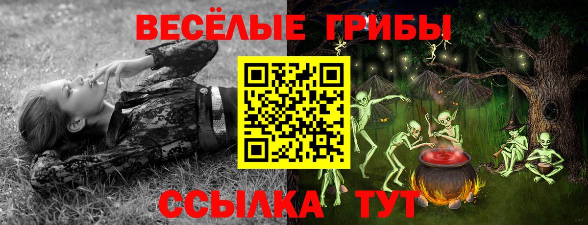 Псилоцибиновые грибы Psilocybe  Вход с VPN  Кизляр  Псилоцибиновые грибы мухоморы 
